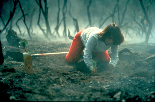 Photos courtesy of TreePeople from fire work during the 1980s
